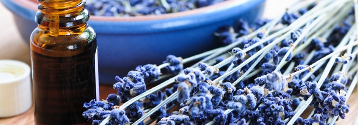 page-wellness aromatherapy NUTRITION TESTING, LAVENDER ESSENTIAL OIL