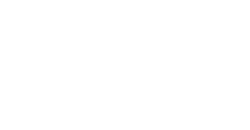 The Precision Chiropractic & Nutrition Center website header logo